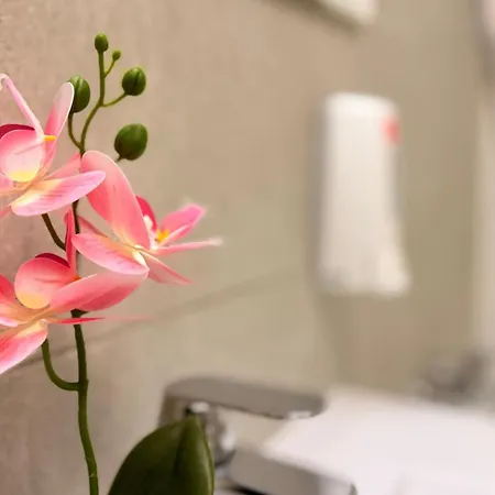 Stunning 1br In North District דירה